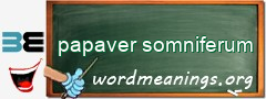 WordMeaning blackboard for papaver somniferum